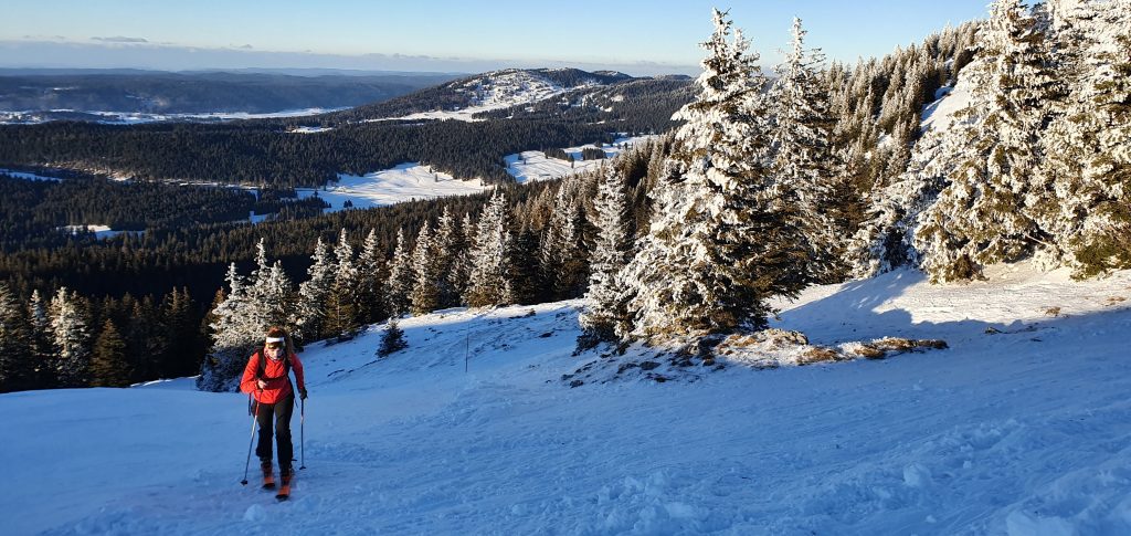 ski de rando randonnée randonnee ski nature neige jura Jura Haut jura Mont Blanc mont blanc mont du jura nature sapin